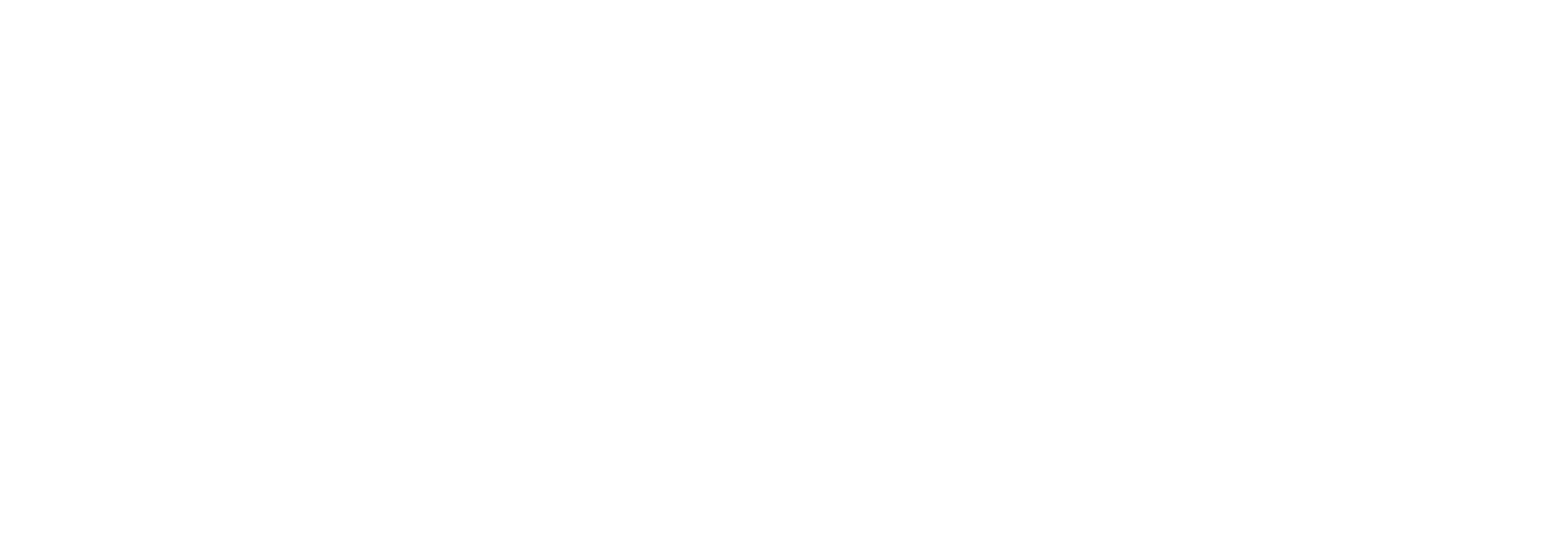 FortSense Logo